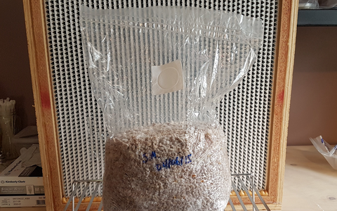 Mushroom Grow Bags - 15x32 CM - IncrediGrow,  