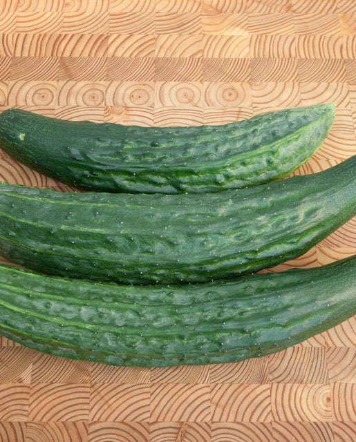 West Coast Seeds - Green Dragon F1 Cucumber