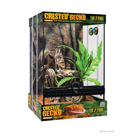 Crested Gecko Starter Kit