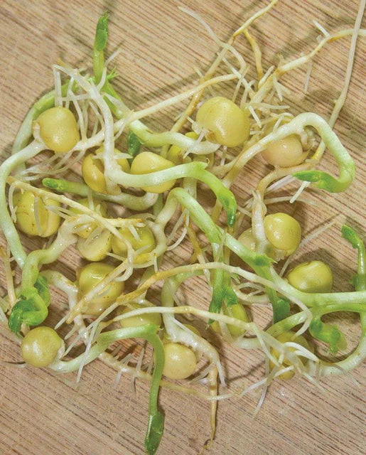 West Coast Seeds - Green Peas Certified Organic