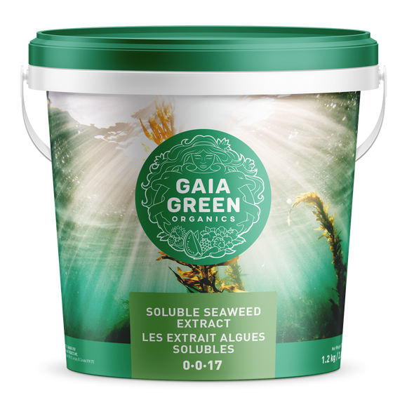 Gaia Green - Soluble Seaweed Extract - IncrediGrow, gaia, green, kelp, ocean, organic Natural Products