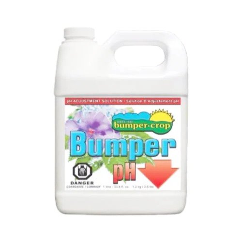 Bumper Crop - Bumper Down