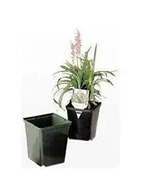 HC 3.5 inch Thick Square Pot
